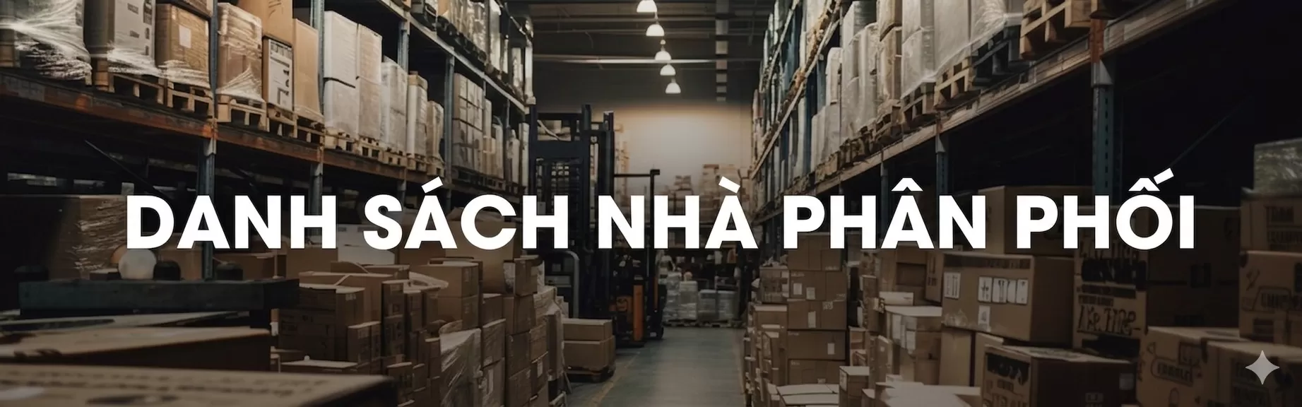 DANH SÁCH CÁC NHÀ PHÂN PHỐI CỦA BINHANGLOBAL