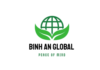 Giới thiệu Công ty Cổ phần Đầu tư và Sản xuất Bình An Global